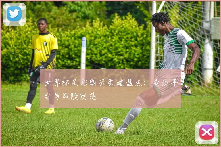世界杯足彩购买渠道盘点：合法平台与风险防范