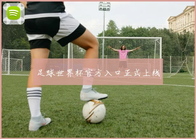 足球世界杯官方入口正式上线