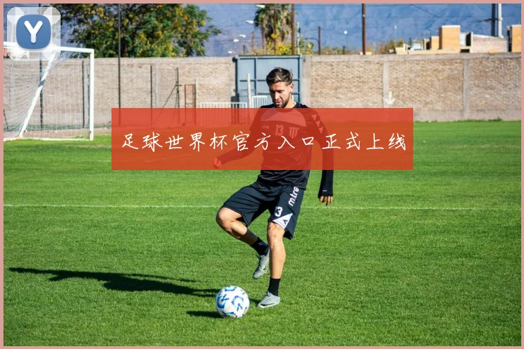 足球世界杯官方入口正式上线