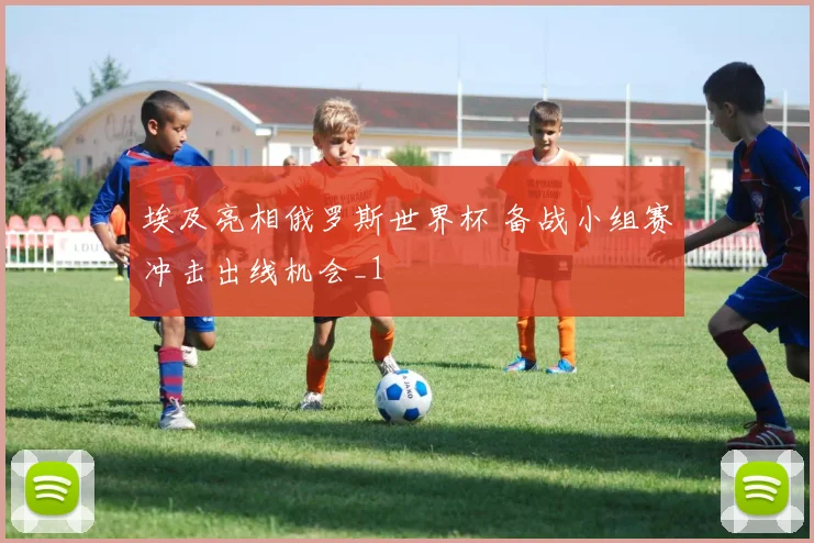 埃及亮相俄罗斯世界杯 备战小组赛冲击出线机会_1