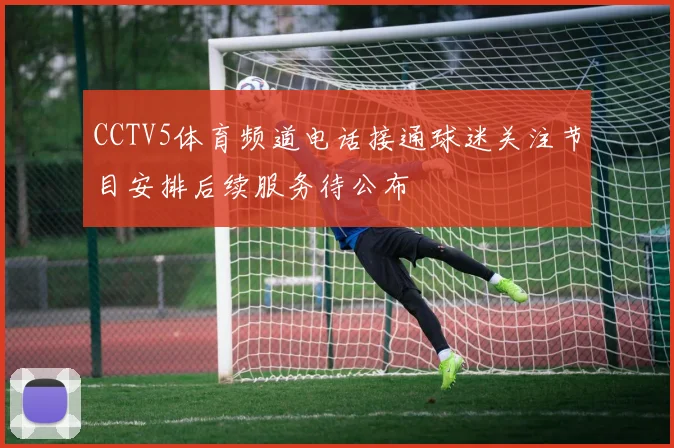CCTV5体育频道电话接通球迷关注节目安排后续服务待公布