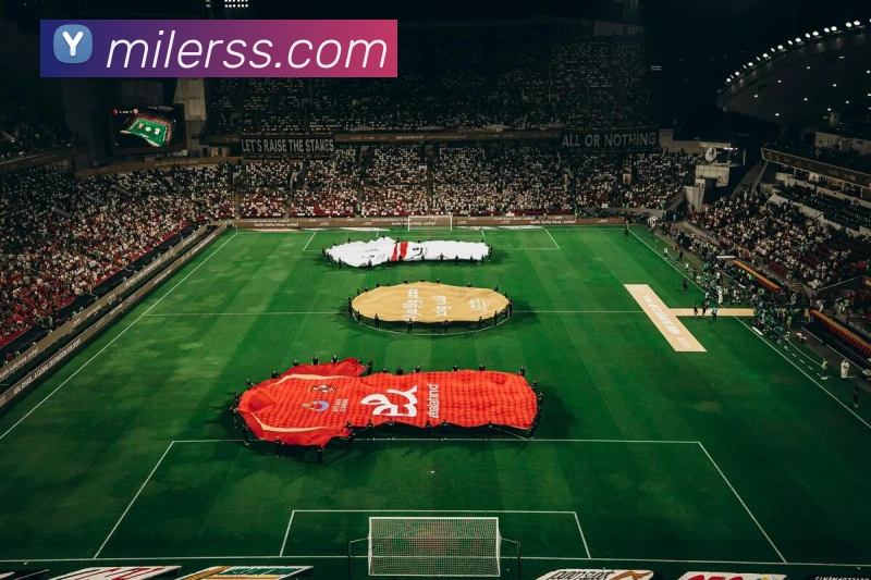 互动解说服务